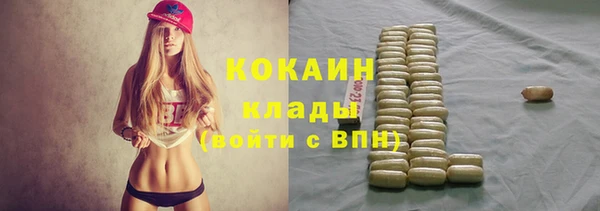 ПСИЛОЦИБИНОВЫЕ ГРИБЫ Аркадак