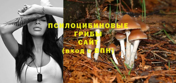круглые Арсеньев