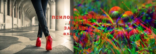 круглые Арсеньев
