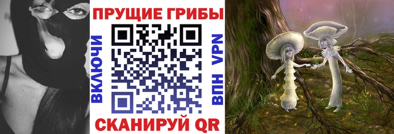 ссылка на мегу рабочий сайт  Ишим  Псилоцибиновые грибы ЛСД  цена  
